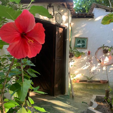 Conjunto Sol Roots Villa Praia de Pipa Ngoại thất bức ảnh